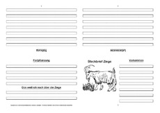 Ziege-Faltbuch-vierseitig-4.pdf